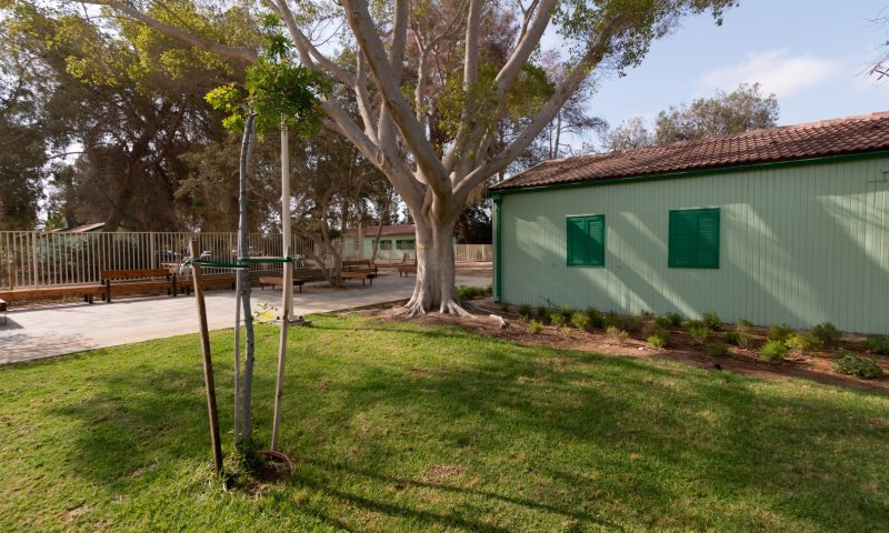 מסע בזמן: שכונתו של בן גוריון מתעוררת לחיים אחרי 50 שנה