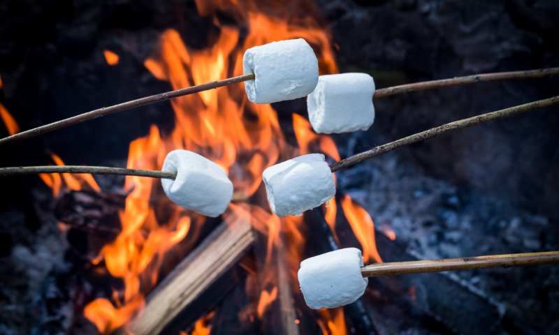 לשדרג את המרשמלו: 5 רעיונות לל"ג בעומר
