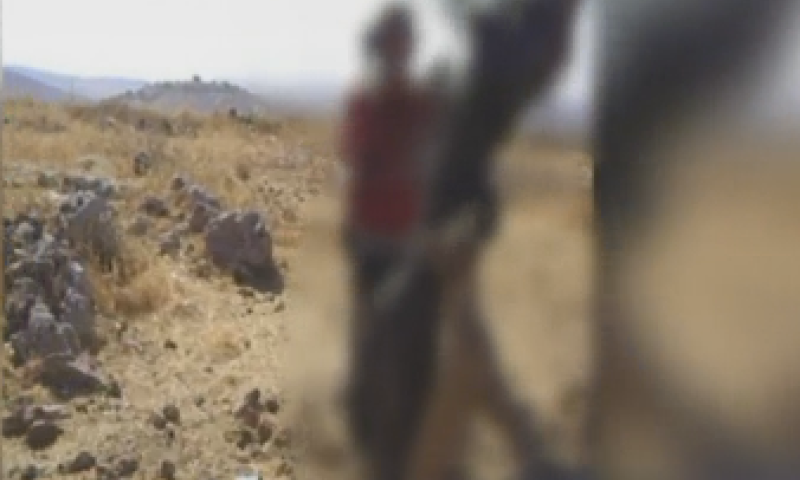 תיעוד קשה: החתן 'מחתונת השנאה' מתעלל בכלב