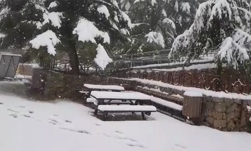 גנרל חורף הגיע: גשמים, רוחות ושלג בכל הארץ