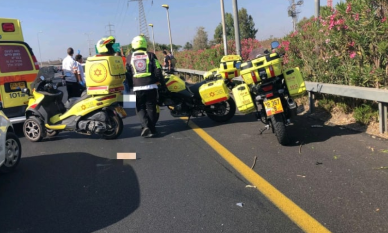 בן 70 נהרג בתאונת פגע וברח ליד תל ערד