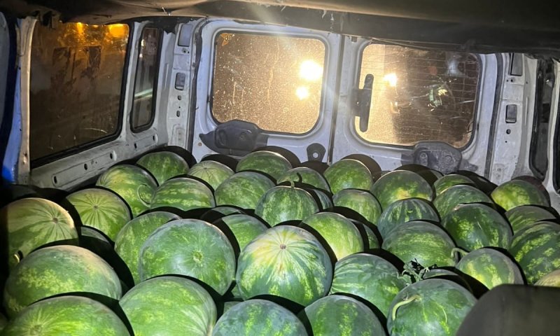 פלסטינים גנבו אבטיחים במשקל של 2 טון ונעצרו