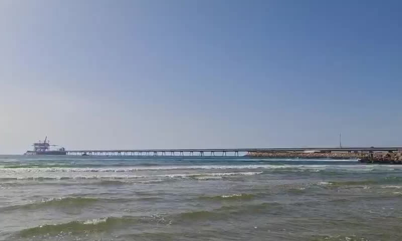 סוף עצוב: הממצאים אישרו כי הצוללן נטרף למוות בידי כריש