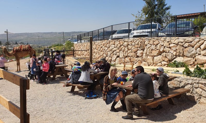 רבבות מטיילים בחול המועד פסח בגוש עציון