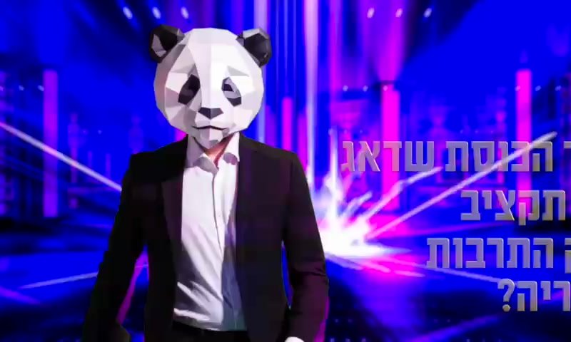 מפלגת העבודה מציגים: מזהים את "הח"כ במסכה"?