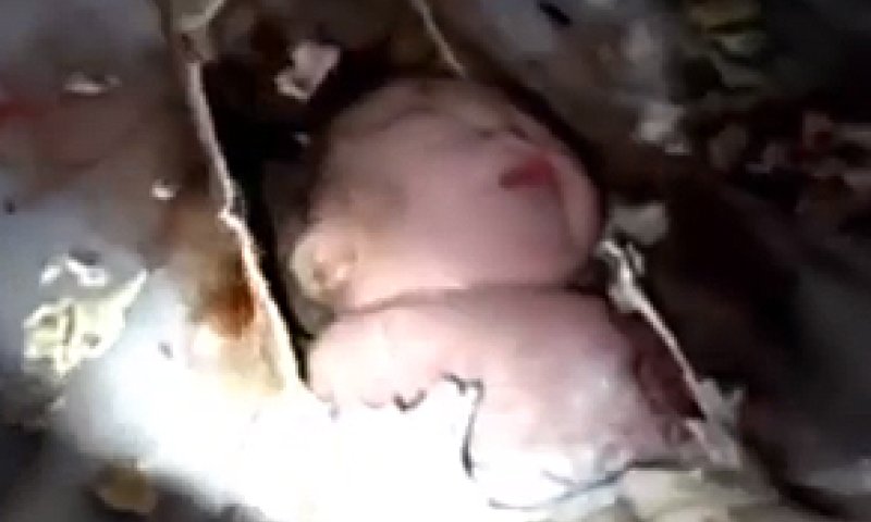 סיפור מסריח: תינוק בן יומו נמצא בצינור ביוב