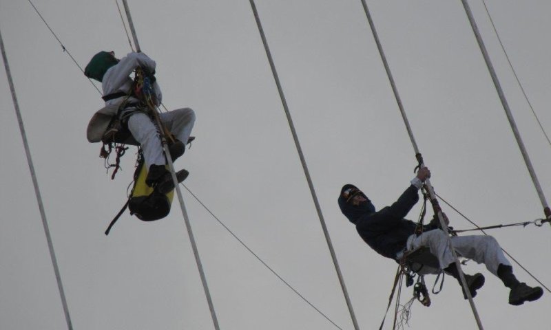 תמונות: פעילי גרינפיס מטפסים על 'גשר המיתרים'