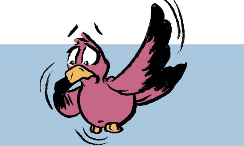 קריקטורה לכבוד שבת: פרשת נח