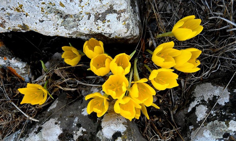בלי מגבלת 1000 מטר, קבלו המלצות לטיולי שלכת בצפון