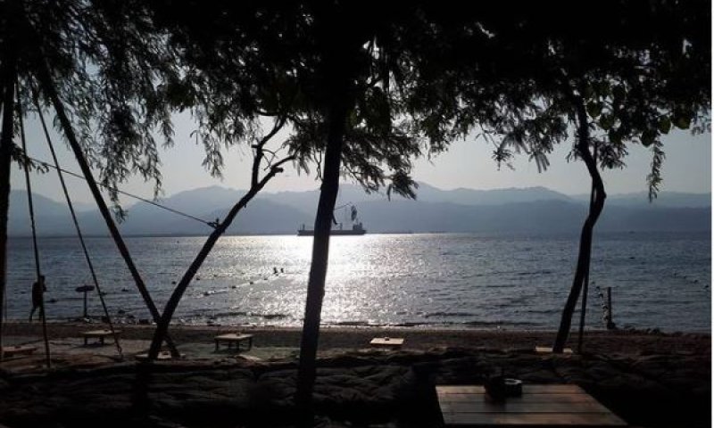 לא רק נחלתם של מחבקי עצים: ההזדמנות הישראלית