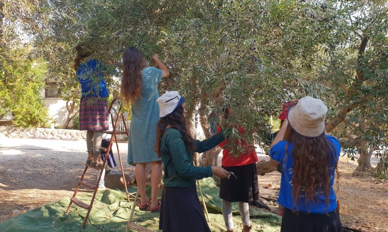 בוגרת ח'? אל תבחרי, תשלבי!