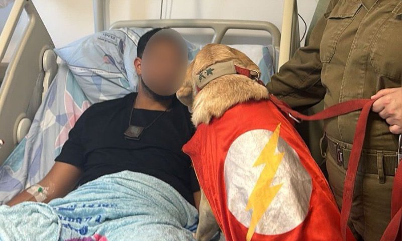 כלבים בצו 8: הפרויקט שכבש את הנשיא