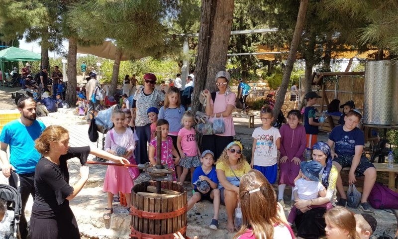 פסטיבל הבציר בגוש עציון במחווה לתושבי הדרום
