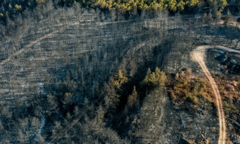 שריפת ענק בגליל: 4,000 דונם של חורש עלו באש