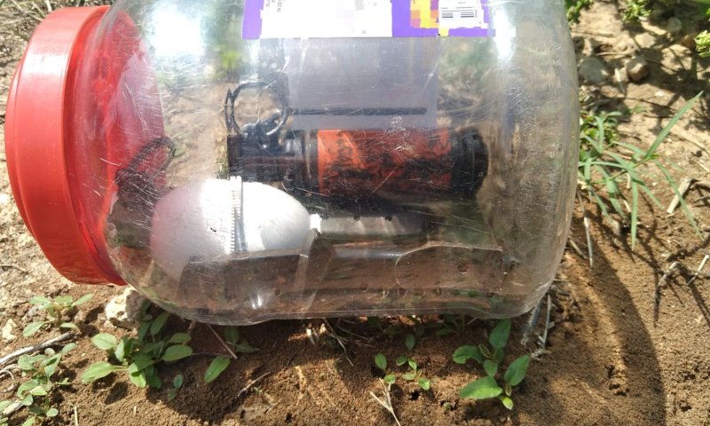 רימונים ומחסניות נמצאו בחצר בית ספר בלוד | צפו