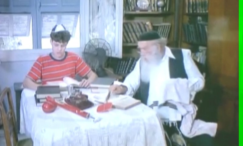 מתוך ההפטרה: "יימח שמך טרוריסט שכמוך"