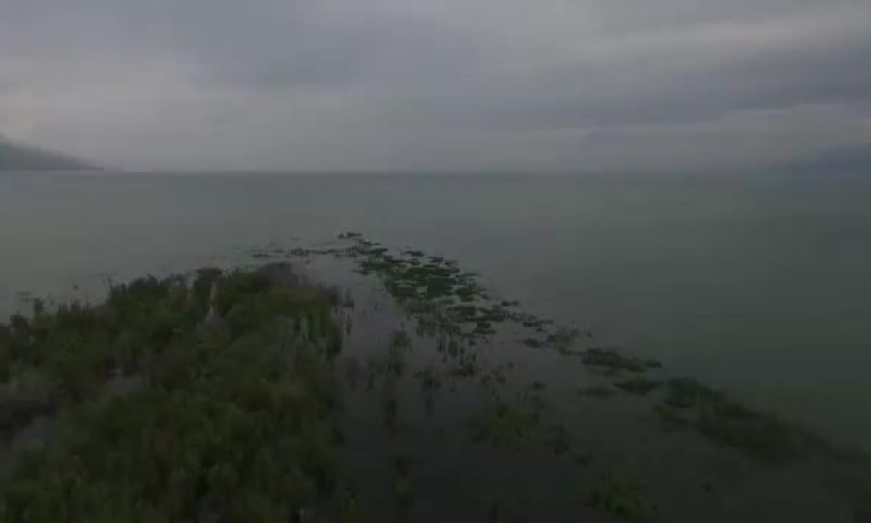 צפו: תיעוד מרהיב של "האי הנעלם" בכנרת