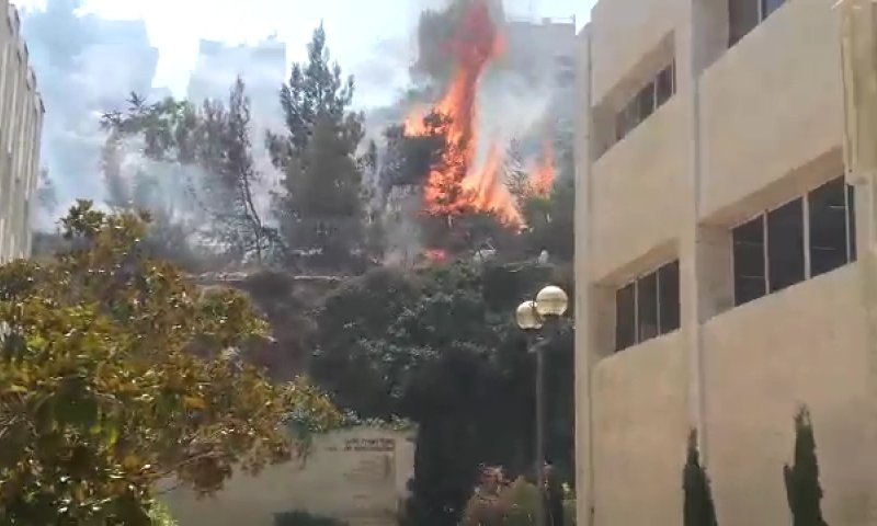 צפו: הלהבות שהשתוללו ליד 'מכון לב'