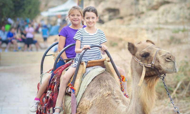 ללא תשלום: 5 מקומות ששווה לבקר בהם השבוע