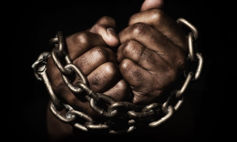 צפו: קצר על הפרשה | עמלק עם של סוחרי עבדים