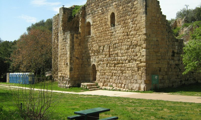 בוחרים בטבע: פעילויות רשות הטבע והגנים לבחירות