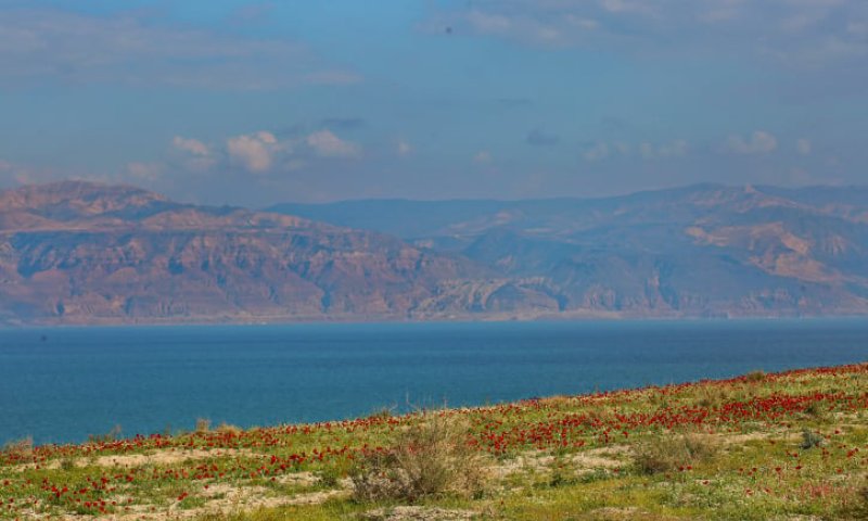 זה היום בו יגיע שיא החום: תחזית מזג אוויר