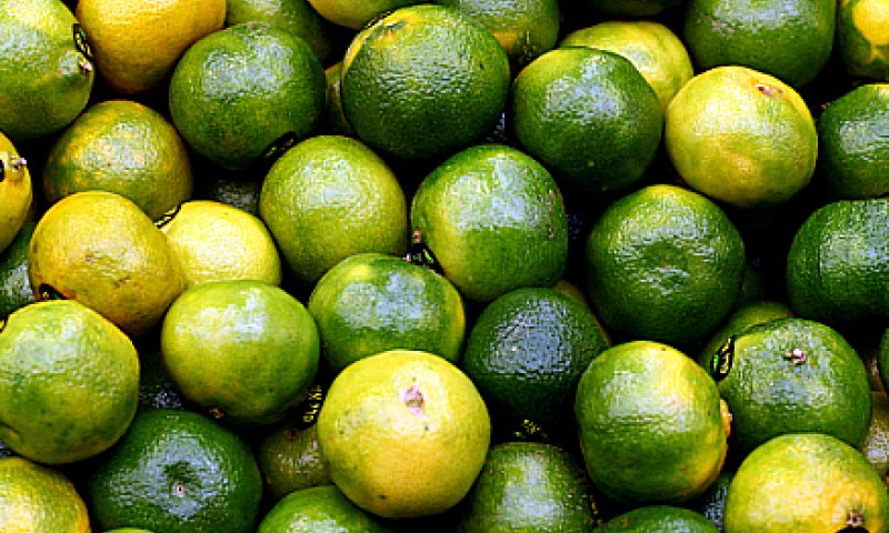 ערלה בפירת חורף: ממה צריך להיזהר?