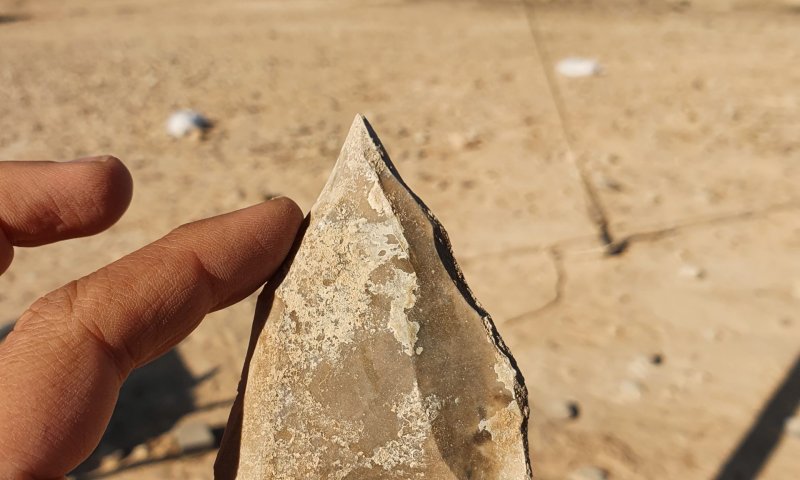 האדם שיצא מאפריקה לפני 100,000 שנה עבר בדימונה