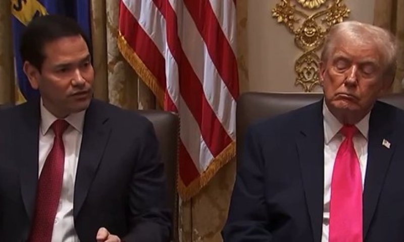 אופס: טראמפ תועד ישן במהלך ישיבת הקבינט | צפו