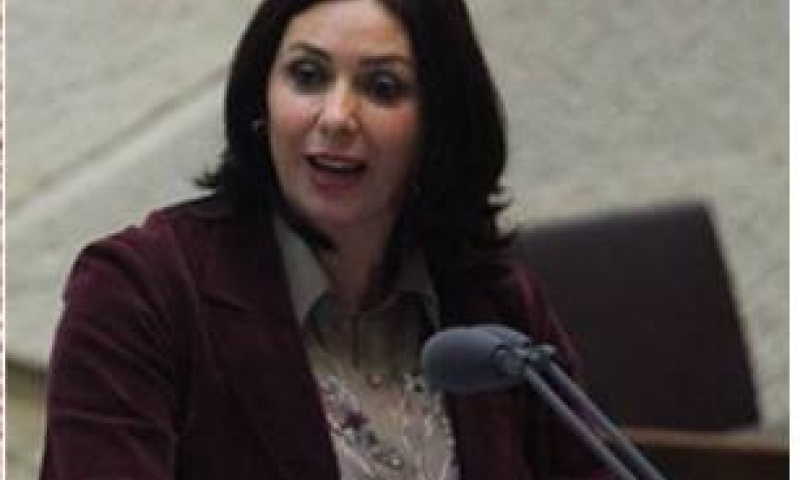 רגב: "המשנה ליועמ"ש הדליפה לנחום ברנע"