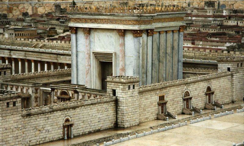 נרתעים מנושא הקורבנות? זה הספר בשבילכם