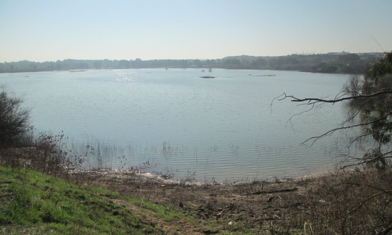 תרחיש הבלהות של משק המים התממש: "חומרים מסרטנים"
