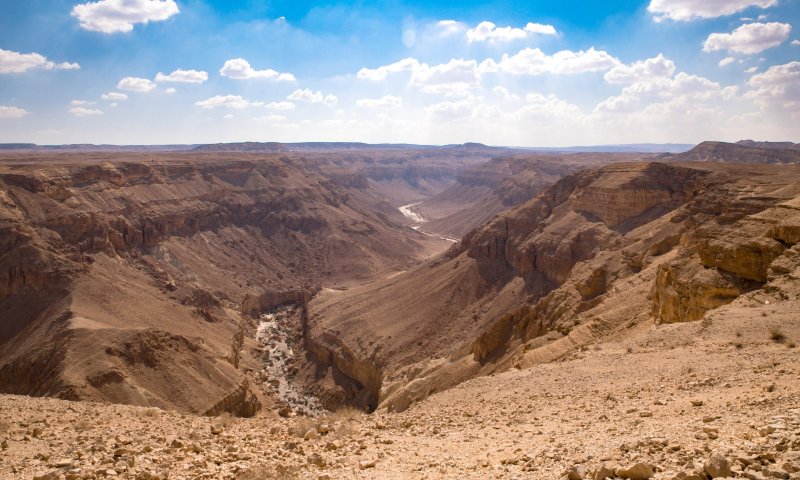 כלב ויהושע היו מיעוט שעמד על האמת שלו