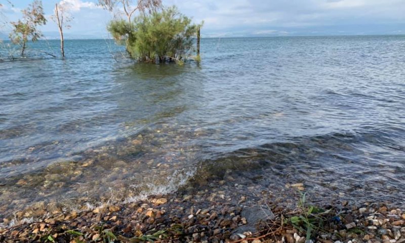 בסופ"ש: ירידה משמעותית במפלס הכנרת