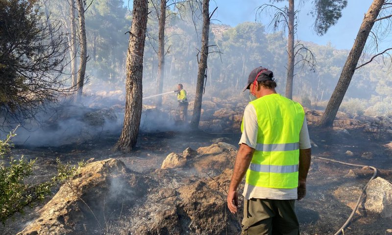 שריפה פרצה בהר תבור: כוחות כיבוי נמצאים במקום