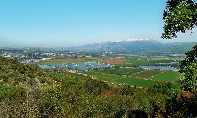 בעקבות הדרמה בסוריה: מועצה איזורית גולן בהודעה לתושבים