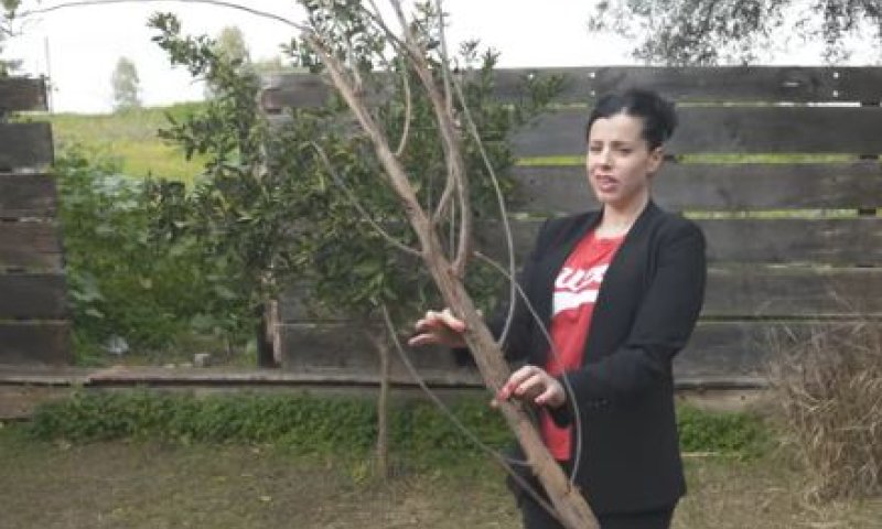 לא הולכת לעבוד יותר בשביל מערכת החינוך