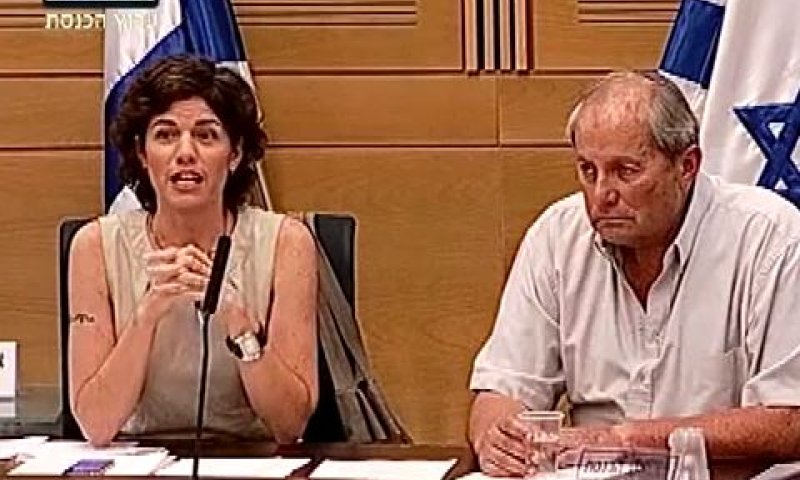 צפו: הנדל חיקה את זנדברג ונזרק מהועדה