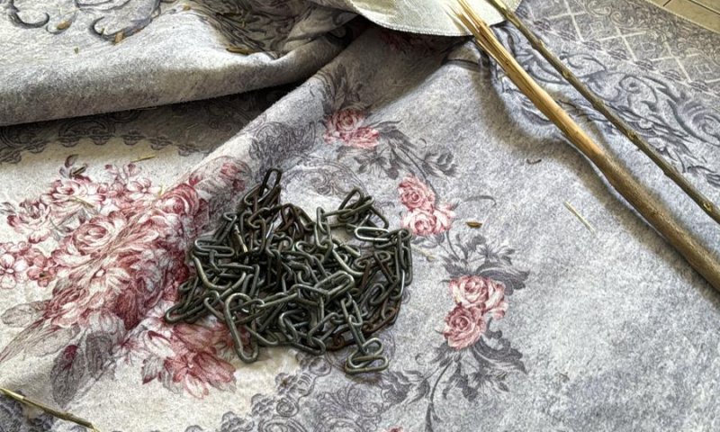 קשרו בן משפחה לעץ: 4 תושבי לוד נעצרו בחשד להתעללות