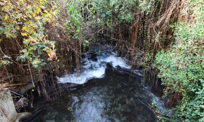 הירי לצפון: פצוע קשה מפגיעה ישירה בקיבוץ דן