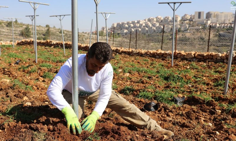 המאבק בשטח C: הרש"פ ממשיכה בהשתלטות