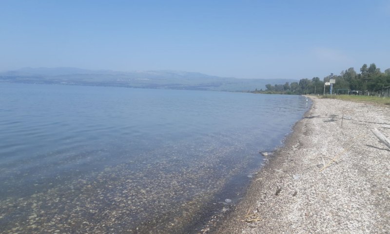 עלייה נוספת במפלס הכנרת; וכמה חסר לכנרת מלאה?