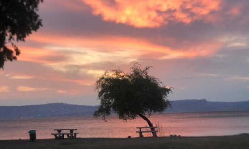 לא יציב | תחזית מזג אוויר להמשך השבוע