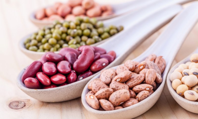 מנהג הקטניות הפך לכלי ניגוח בפוסקים ובמסורת