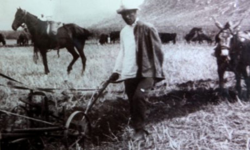 האם טרומפלדור באמת אמר "טוב למות בעד ארצנו"? צפו