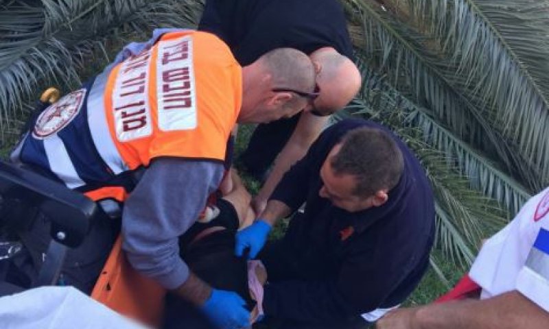 קריסת העץ בדרך לביה"ס: הדרדרות במצב אחת הילדות