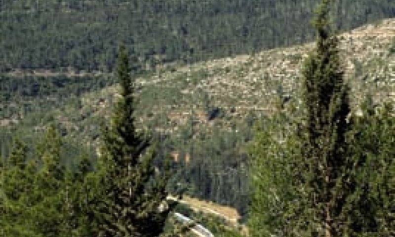 אושפיזין ביערות קק"ל &ndash; אירועי חג סוכות תשע"א