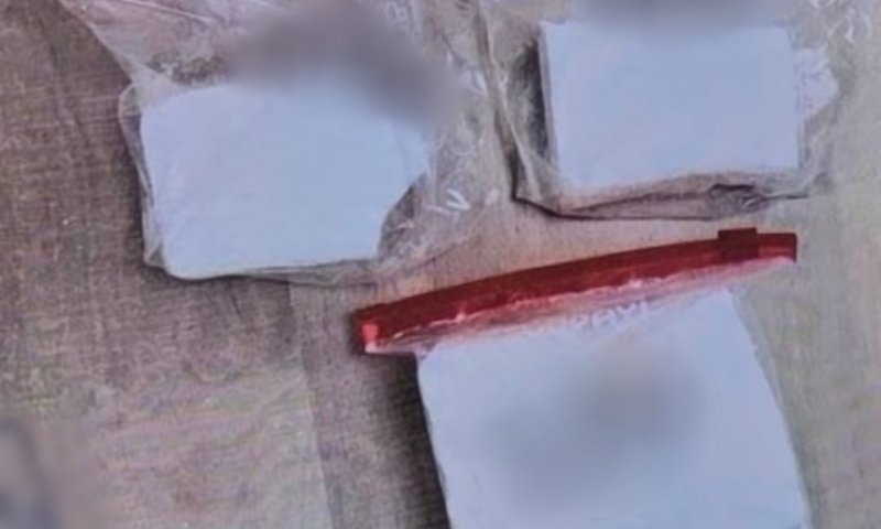 בשביל ימי הסתגלות? הגננת נתפסה עם חצי קילו קוקאין