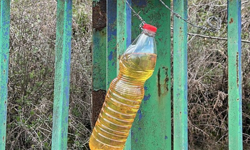 תושבי הצפון חוזרים לשגרה: בקבוק בנזין עם דרישה לפרוטקשן