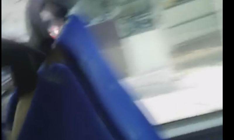 'יא דוס מסריח': פוטר נהג אגד שתקף חייל חרדי